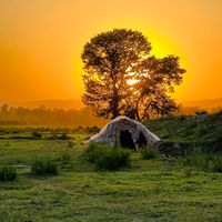 mohmand.vibes