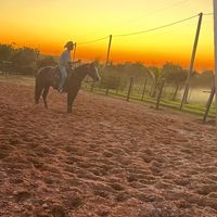 vitorrezende007