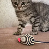 original sound - milkiwey44