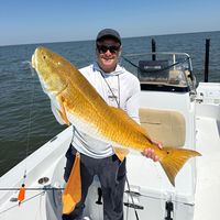 new_orleans_best_charter