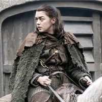 aryastarkbrasil