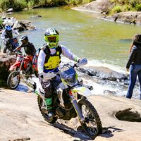 roia.da.panteranegra