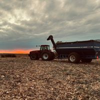 cattlefarmer08