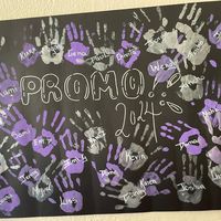 promo24.3roe
