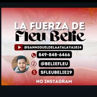 beliefleu