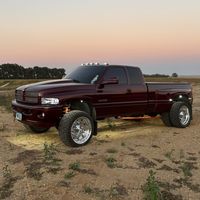 muscle24v