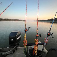 mb_fishing31
