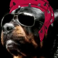 franciscoarenasbecerra