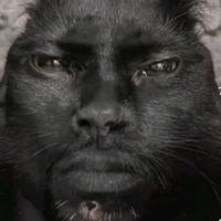 iam_australopithecus