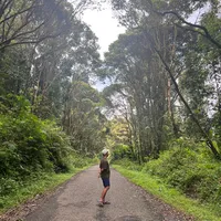 PAMBASILET X BONGKAR BONGKAR TANAH