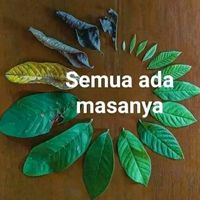 suara asli - Paulus bogar pance 21