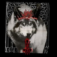 wolfmoontaxidermy