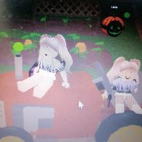 sso_roblox_lotti