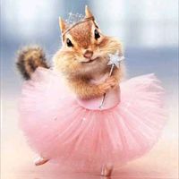 sing if you know the song 2015 edition