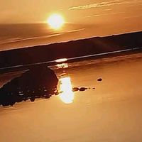 الصوت الأصلي