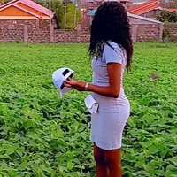 original sound - sleysam