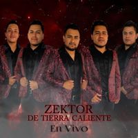 zektordetierracal1