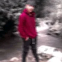 original sound - nelson..el.criminal