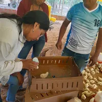 original sound - kyra_mey