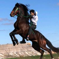 tborida.ayoub13