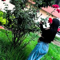 yari_a14