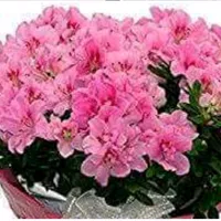 original sound - user3541217978038fatima