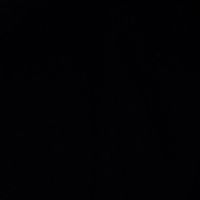 rixus_17