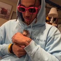 who ppl actually used nators sound