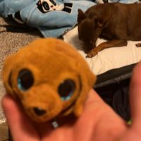 emilyherring5