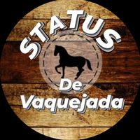 status_vaqueiro6