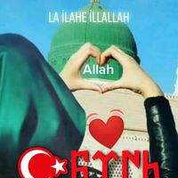 kurt.bakl.asena