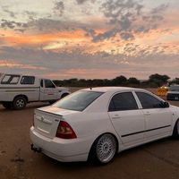 statixrolla_covidslayer