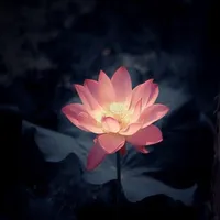 Om Ah Ra Pa Tsa Na Dhi
