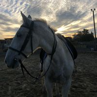 als wärs ganz leicht