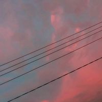 music_exclusive69