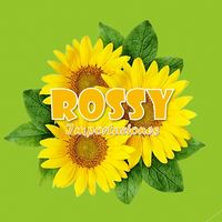 rossyimportaciones