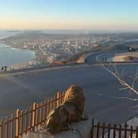 vloralabe_