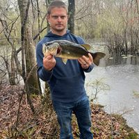 southernbirdieoutdoors