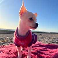 lia_morita21