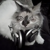 original sound - vqxmb