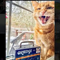 original sound - Dennisfuchmusic