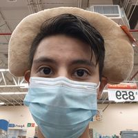 Se la comieron los gatos