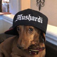 mushexmujeriego