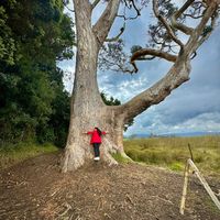 unahastamorirviajando