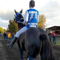 carreras_a_la_chilena