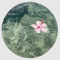 original sound - aliyahnaranjo6