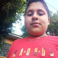 brayanduartes13