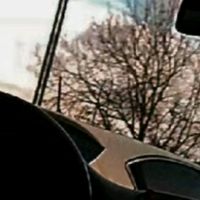 loris_169