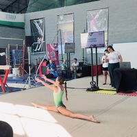 gimnasiadelfi_