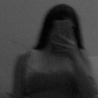 venlin_2005
